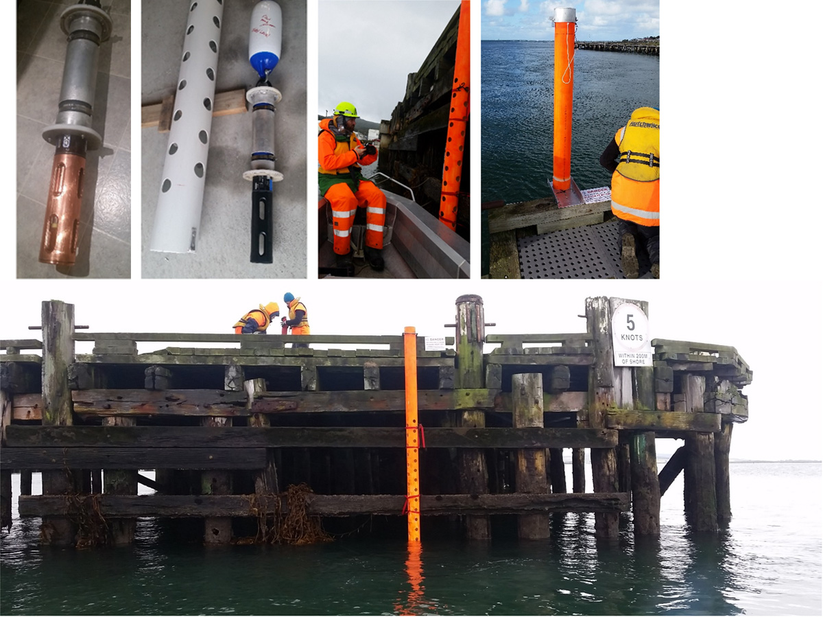 Bluff Wharf installation of EXO sonde temporary deployment  
